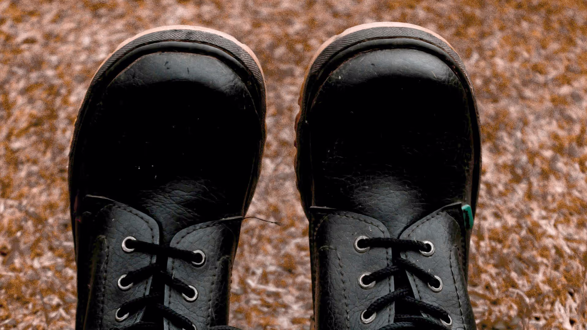 Albatros — Private Label Relaunch Safety Shoes